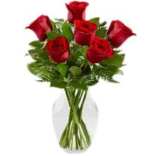 send 6 red roses in vase to dhaka