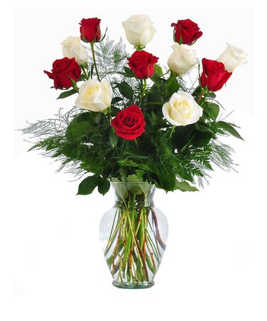 send 6 red & 6 white roses In a vase to dhaka